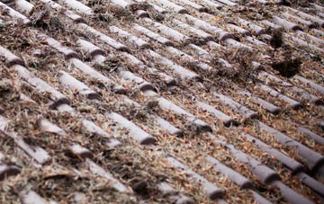 Nursteed roof cleaning companies