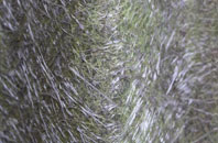 Nursteed fibreglass roof work